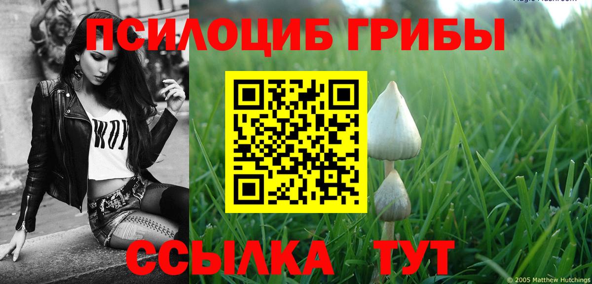 Галлюциногенные грибы мицелий  Вход с VPN  Галлюциногенные грибы мухоморы  Красногорск 